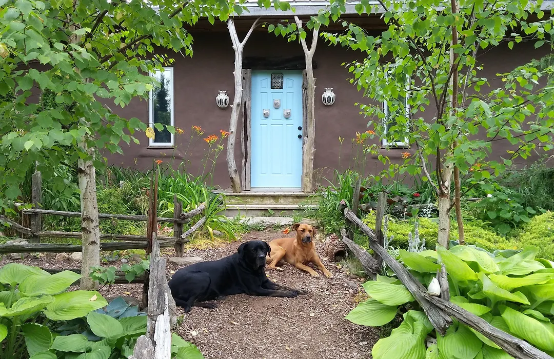 Owl'S Nest Suites-1
